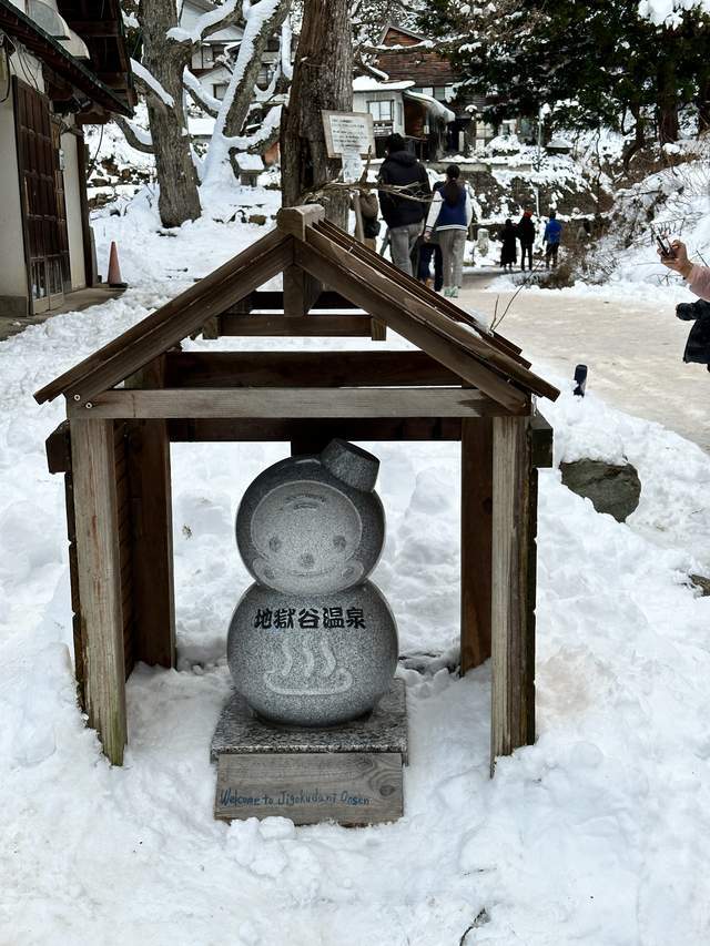 世界上独一泡温泉的山公，日当地狱谷，以“雪猴”闻名的参观地