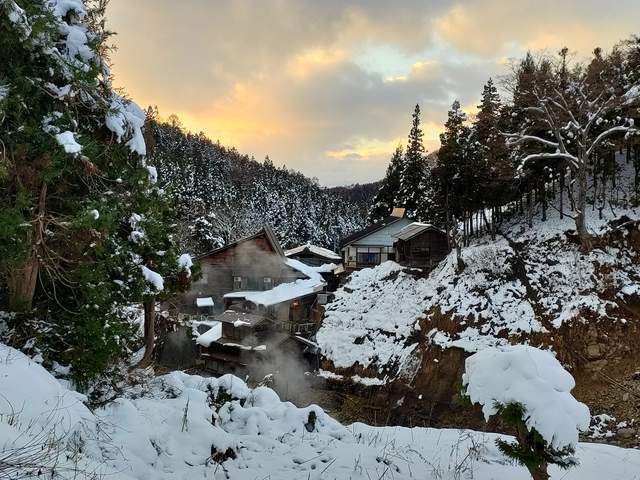 世界上独一泡温泉的山公，日当地狱谷，以“雪猴”闻名的参观地