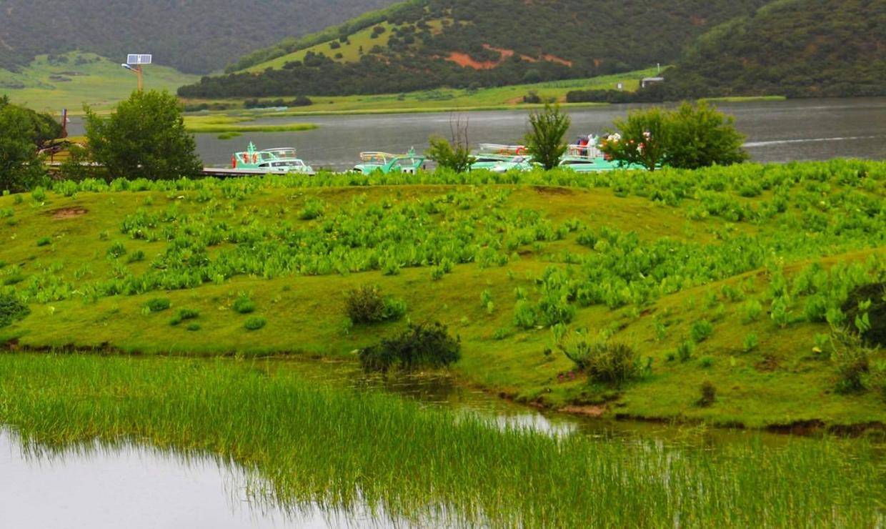 普达措国度公园，属都湖(高山草甸)