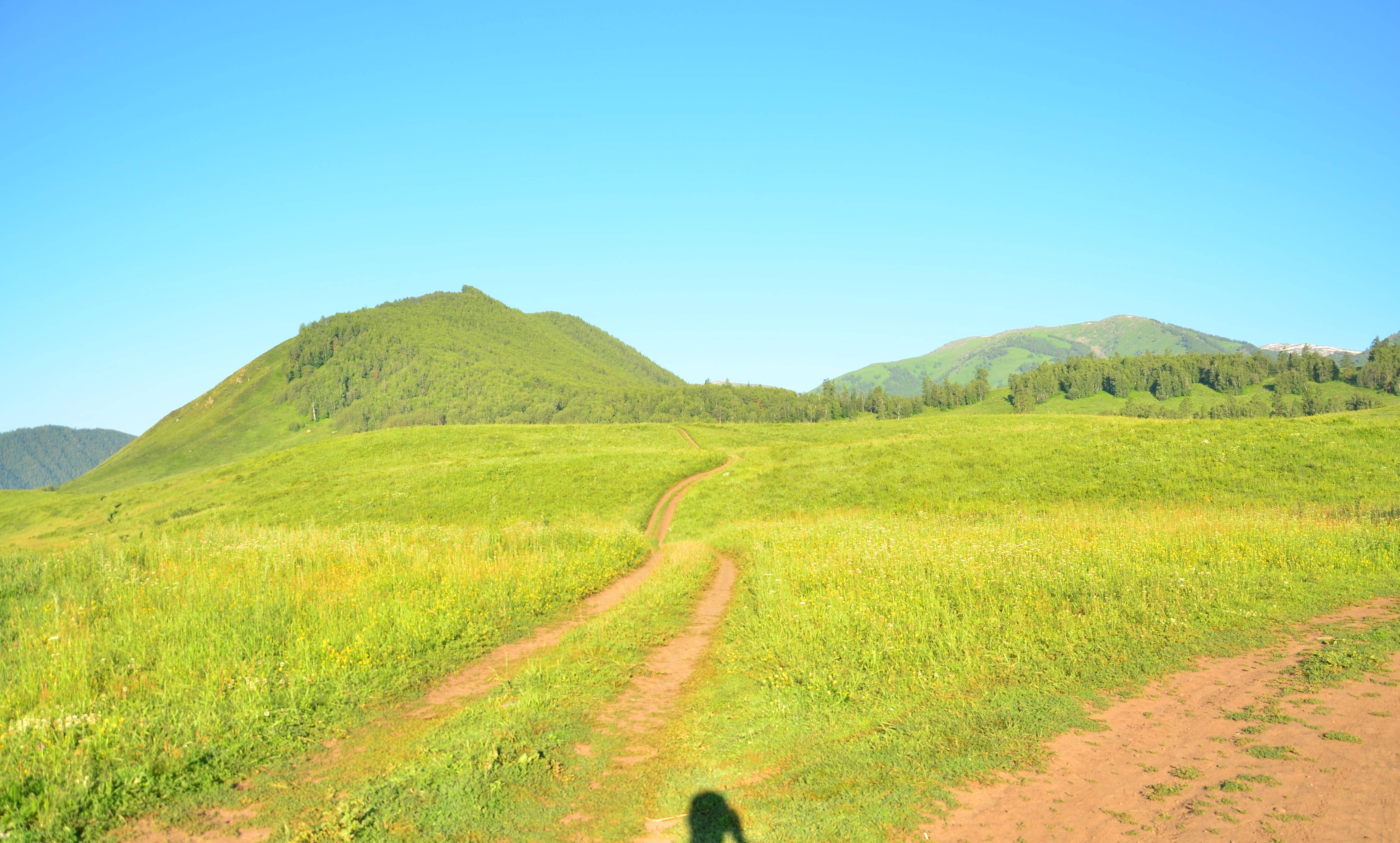 那仁夏牧场？去喀纳斯旅游若是不去那里，你的旅游只算走了一半