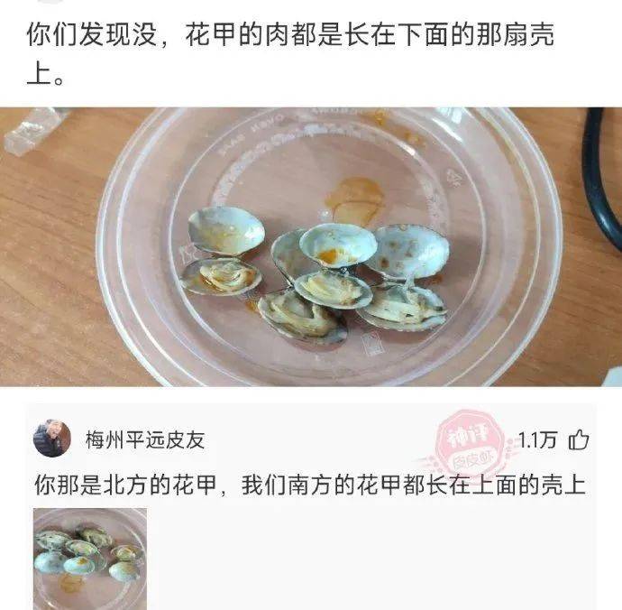 那就是见家长的天花板吧，气氛嗨爆了哈!丨搞笑囧图