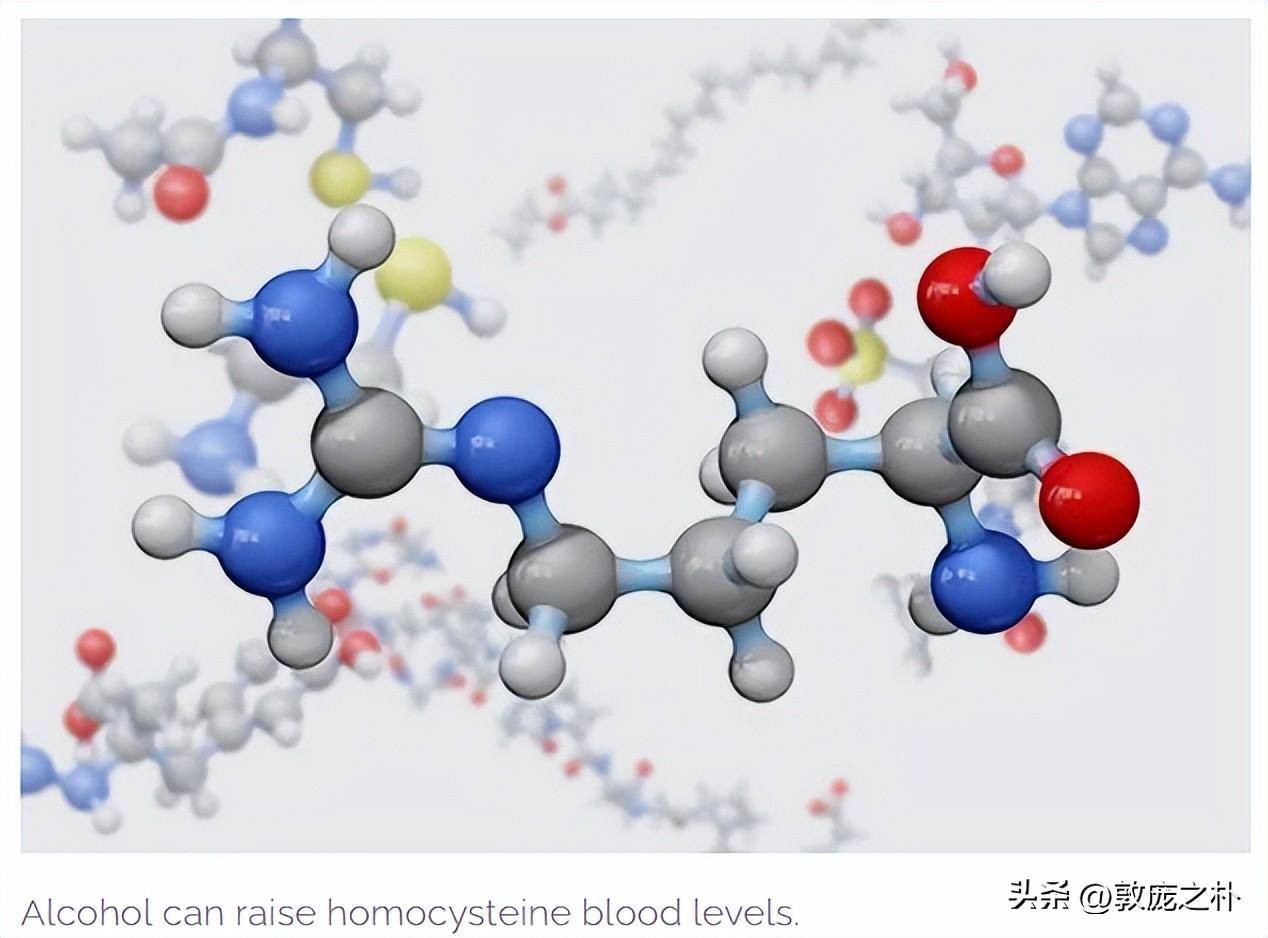 什么是同型半胱氨酸？与血液有什么关系？