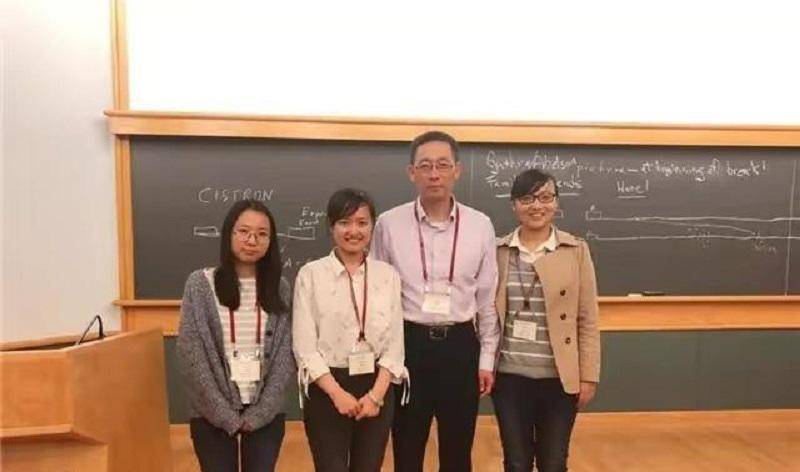 清华女博士白蕊,世界最具潜力的女科学家,27岁攻克多个世界级难题