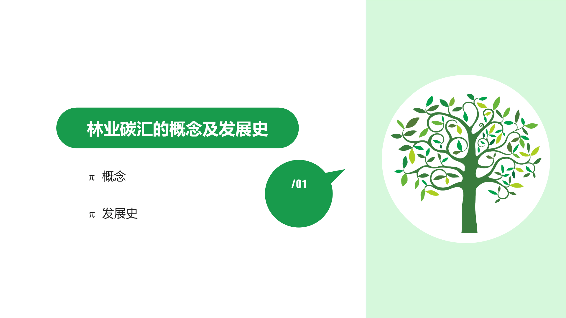 林业碳汇资本项目开发(附下载)