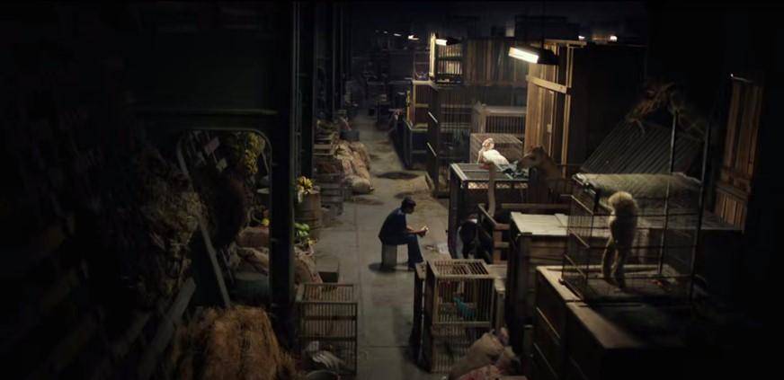 ��Ӱ�������ɵ����Ư���������������֮�䣬�������ʲô ...