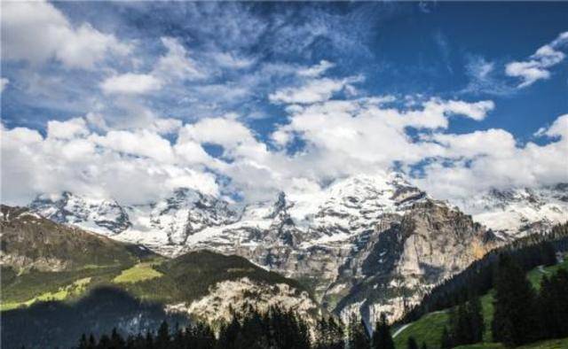 ��ʿ������㲻����Ʊ���³�Ʊ�۸ߴ�800��Ǯ���ο�ȴ��������