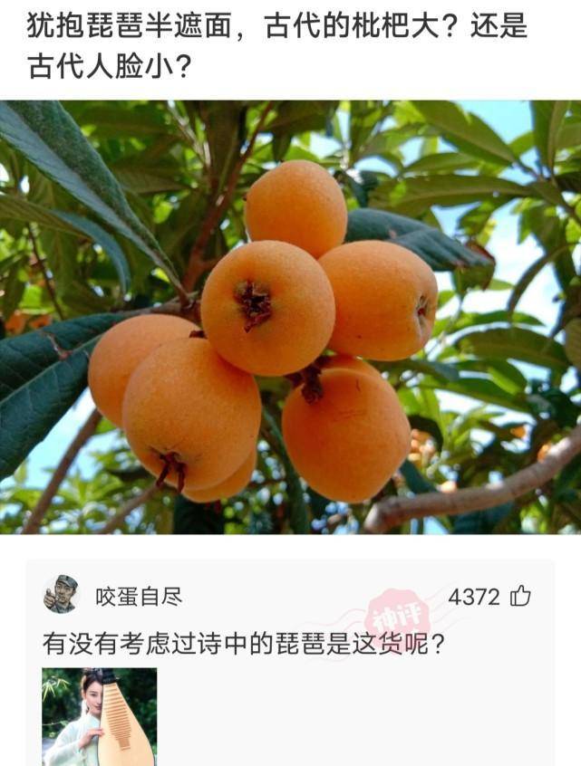 “在爷爷仓库发现的，那至少是个营长吧？”神友：妥妥的师长