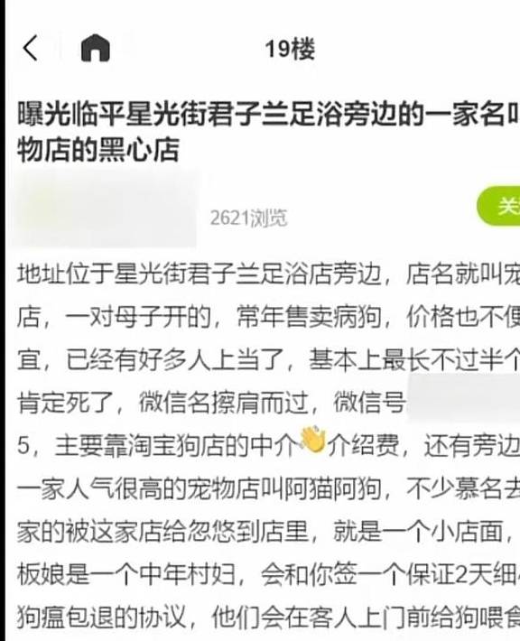 统一宠物店买两只小狗，都不到一周就死了