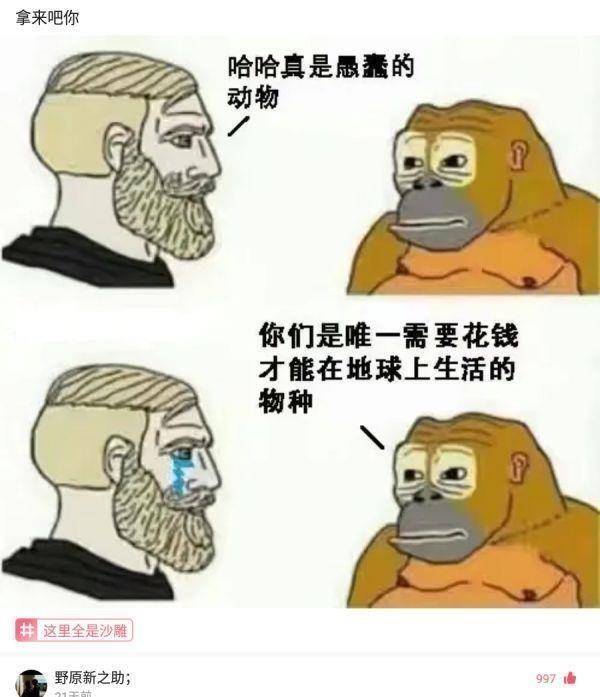 快乐的天主答复说，那就是人和动物的区别吗？