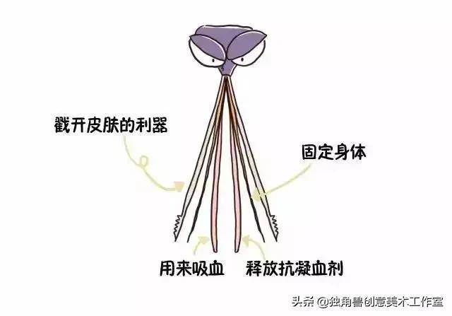 绘画教程 - 驱蚊三剑客