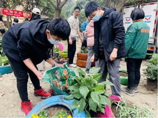 新桥逸景B区微景不雅革新动作 让边角地变身小花园