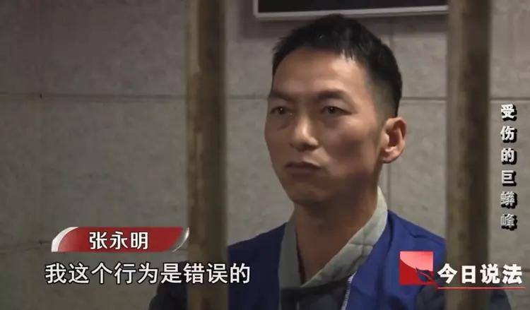 浙江攀岩者：为登顶将26枚钉子打入巨蟒峰，补偿600万还得坐牢