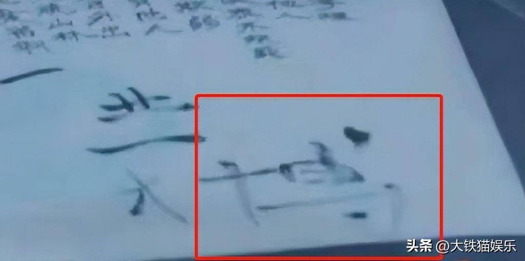 6位顶流被嘲“绝望文盲”，粉丝：你们笑他不识字，他笑你荷包空