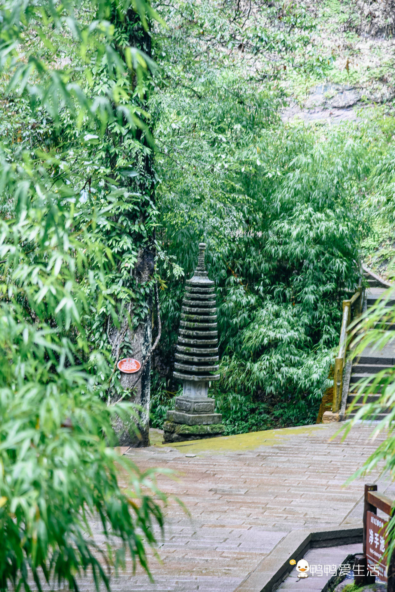 福建泰宁甘露寺：仅用一根柱子支持，佛祖前供不雅音千年香火不停！