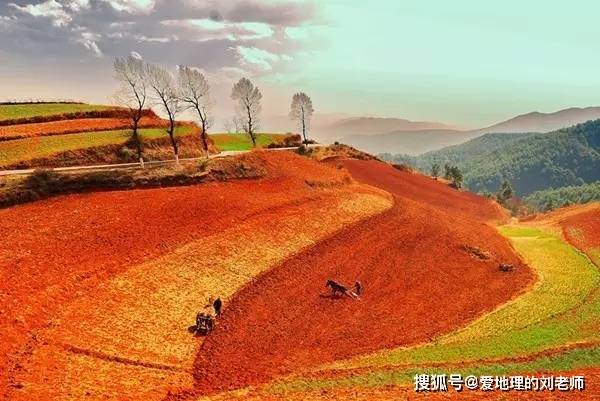 国内开往云南的第一列高铁！北上广去云南朝发夕至！一站一景美哭