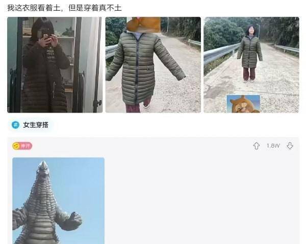 神回复：我那衣服看着土，但是穿戴实不土