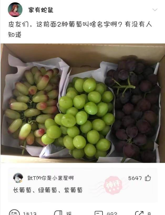 “有些人生成就是配角，即便他不看镜头！”美女是生成的，哈哈哈