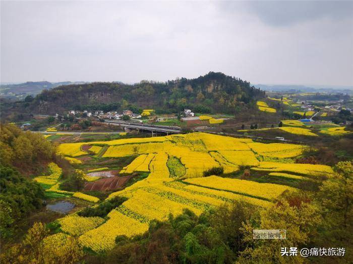 阳春三月，碰见最美的自贡三多寨