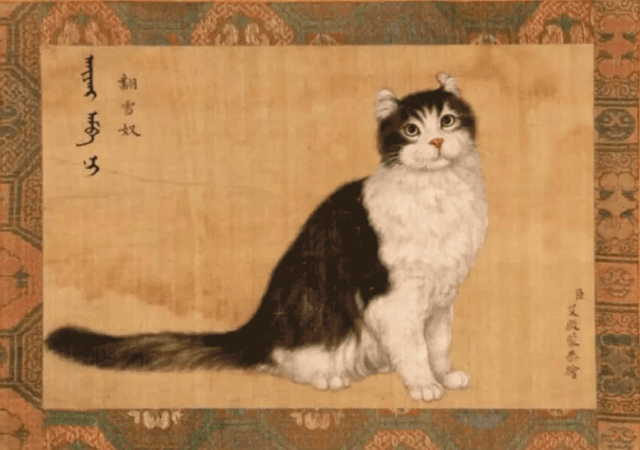 乾隆太会给猫起名字了吧！我只会：咪咪！