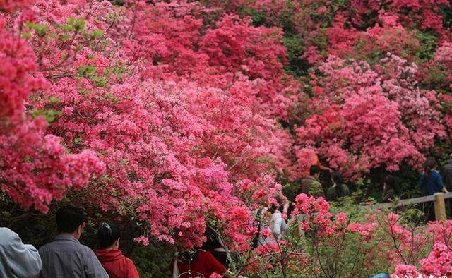 中国旅游景区大全之湖北木兰文化生态旅游区-木兰云雾山