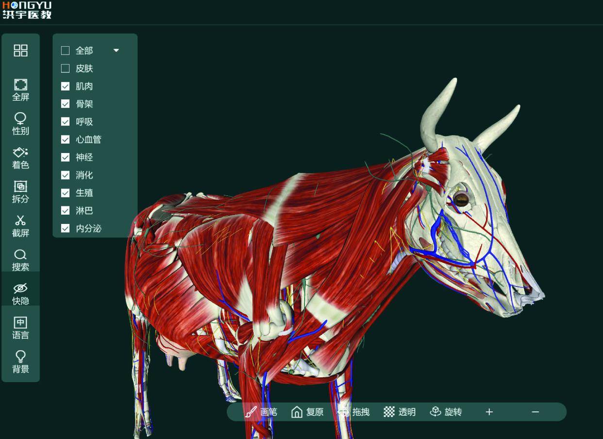 动物3d虚拟剖解教学软件的长处有哪些呢？