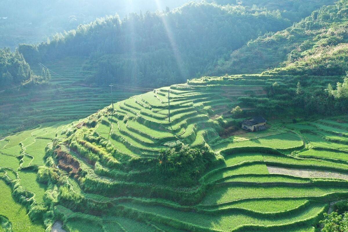 ������һ��������У���������ǧ����򣬱Ⱦ����徻������ ...