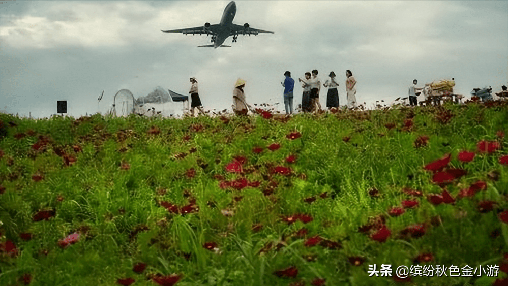 双流周边一日游有哪些景点？花田、古镇、公园、山谷，等你来打卡