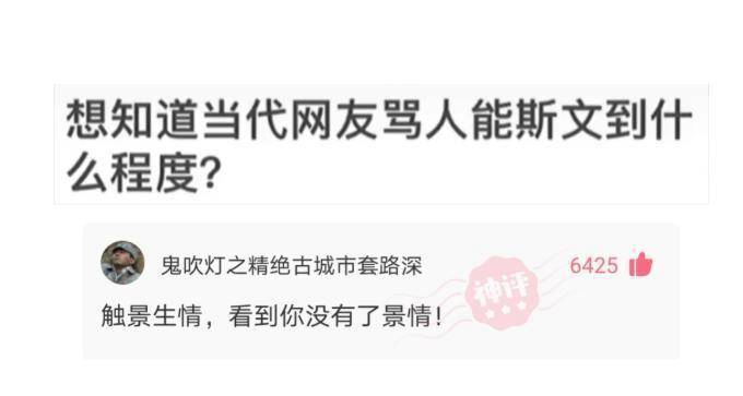 “网友骂人能斯文到什么水平？”太有学问了，抓紧抄下来！