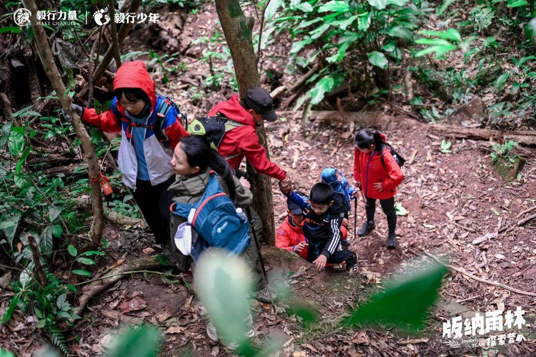 陪你去雨林 | 一群少年摸索家6天5晚西双版纳雨林之旅