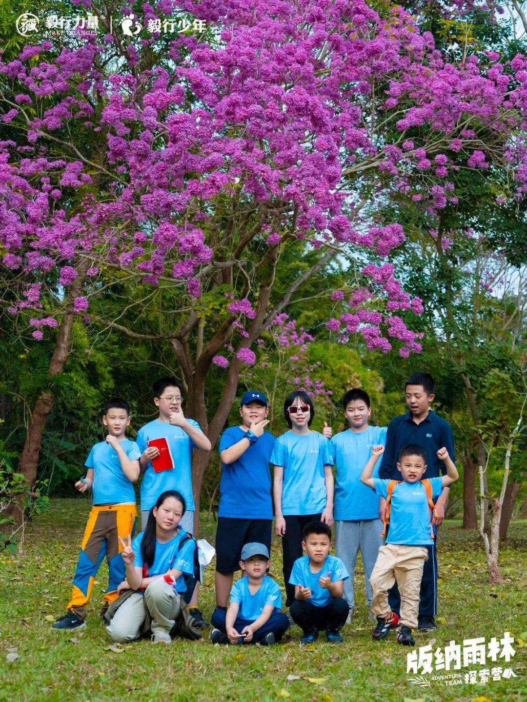 陪你去雨林 | 一群少年摸索家6天5晚西双版纳雨林之旅