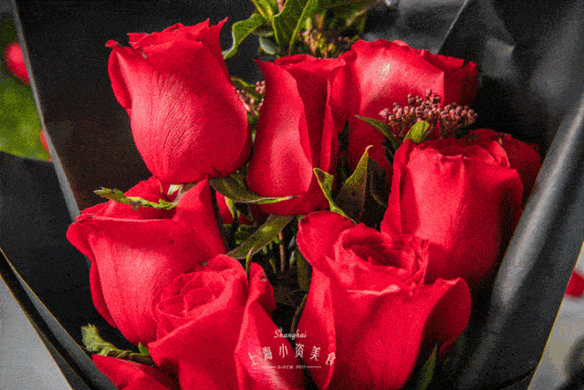 �Ű�֥���˽�ɹ�չ������飡ʾ����һ���ˣ���̫���������� ...