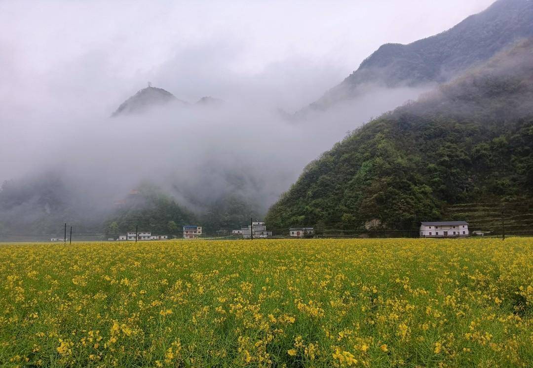 乘坐开往秦岭云烟深处的火车，抵达十里花海村子，仙气飘飘太美了