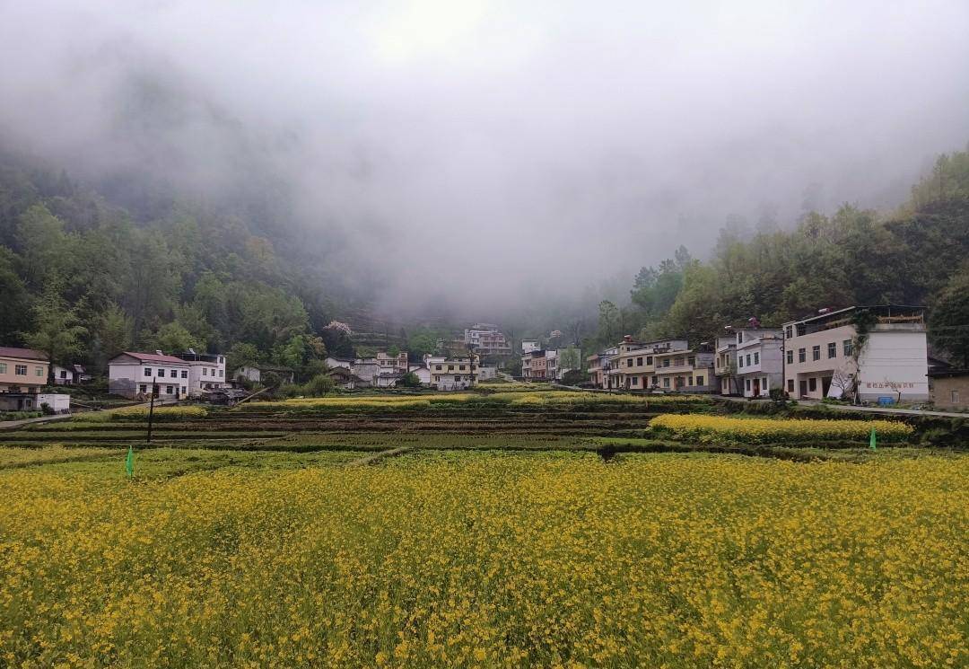 乘坐开往秦岭云烟深处的火车，抵达十里花海村子，仙气飘飘太美了