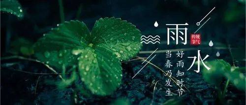 正月十九雨水晨安问候祝愿图片精选 正月十九雨水问候祝愿语简短句子