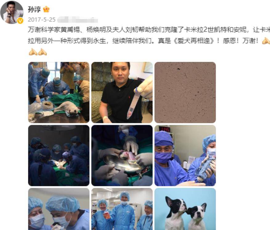 原创老戏骨孙淳娶初恋傅丽莉,结婚38年无儿无女,今与狗为伴也很幸福