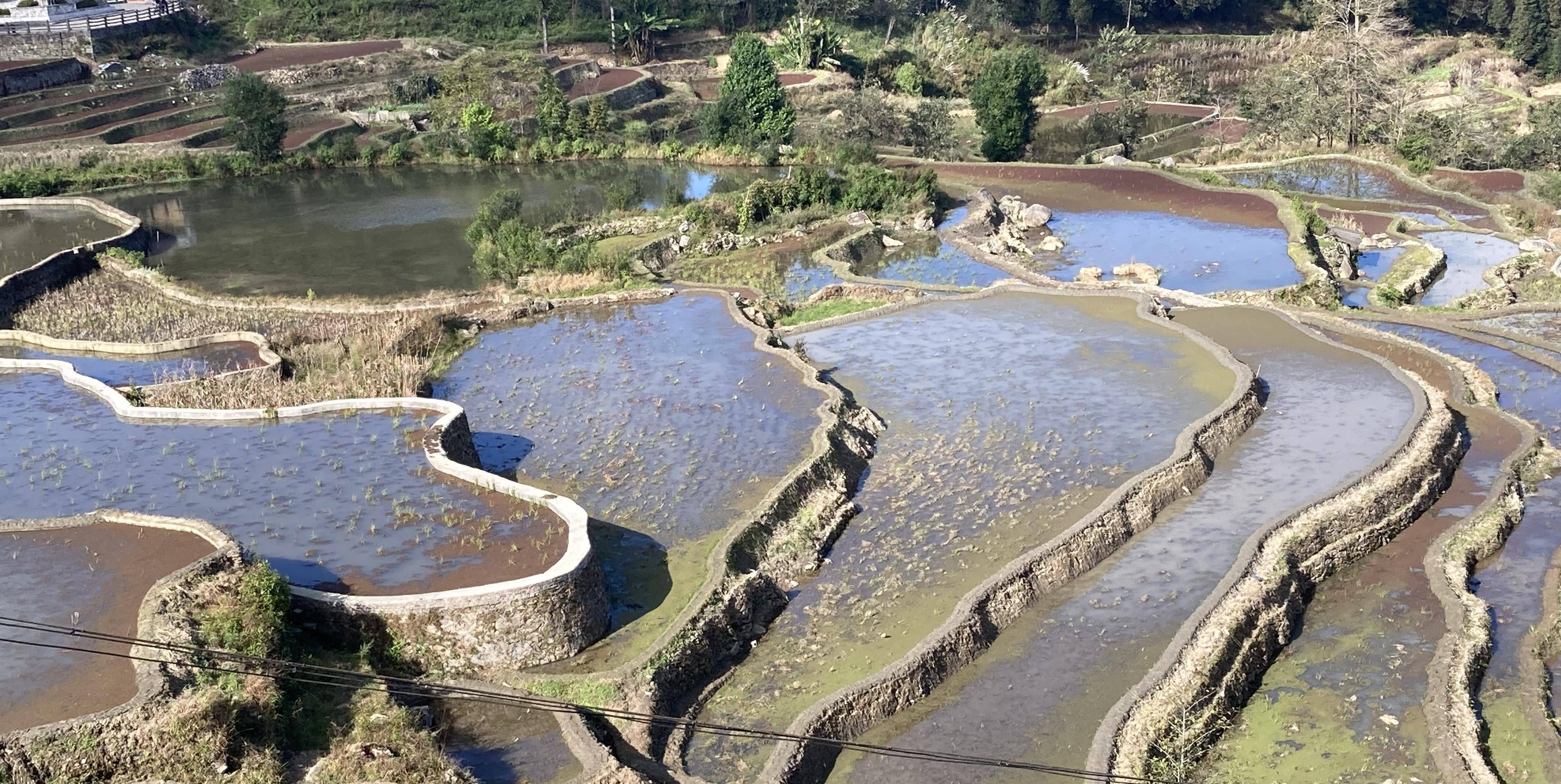 元阳哈尼梯田各不雅景台美景之-箐口不雅景点