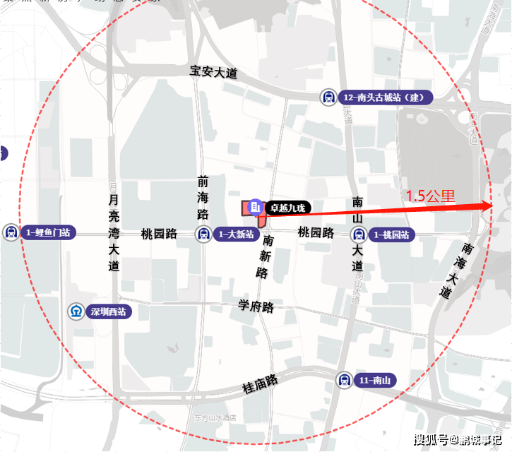 2022您应该掏的深圳新盘现房之南山大新卓越九龙