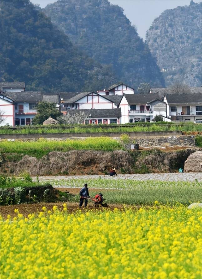 【原创诗词】周嗣远 | 繁卉虬枝飞落乱，泥尘香暗入君怀（诗词十九首）