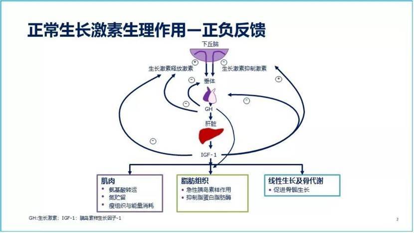 长高吃什么钙片比力好？长高的法门