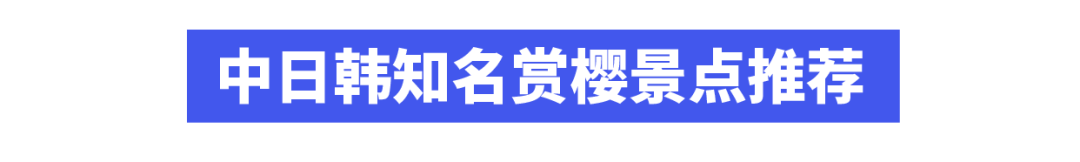 中日韩最美赏樱目标地都在那了！多国打消对华入境限造，彼此免签放宽“门槛”