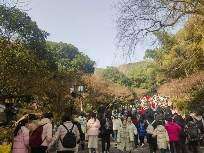 长沙新房室第成交暴涨，长沙房地产的春天来了，工具南北夏良舟