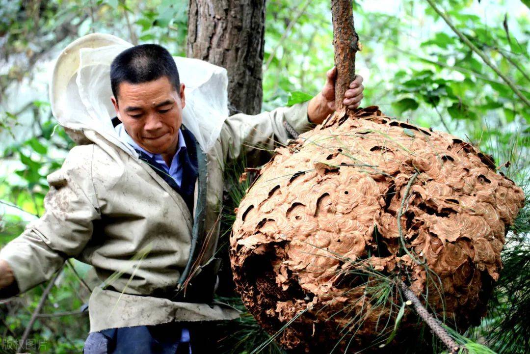 清点古代十大奇异又可怕的特种兵器，中国创造也榜上有名