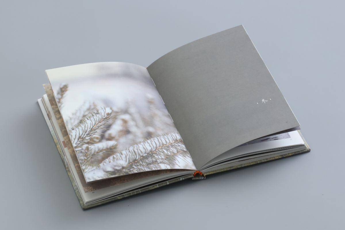 ��ϸ�µ�ӰΪ����ǳ����Ӱ����α��׵ص㡢ʱ������⼰�� ...