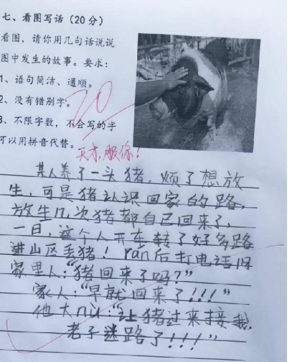 看图写做变“惊悚小说”，小学生测验脑洞大开，教师看后笑出了声