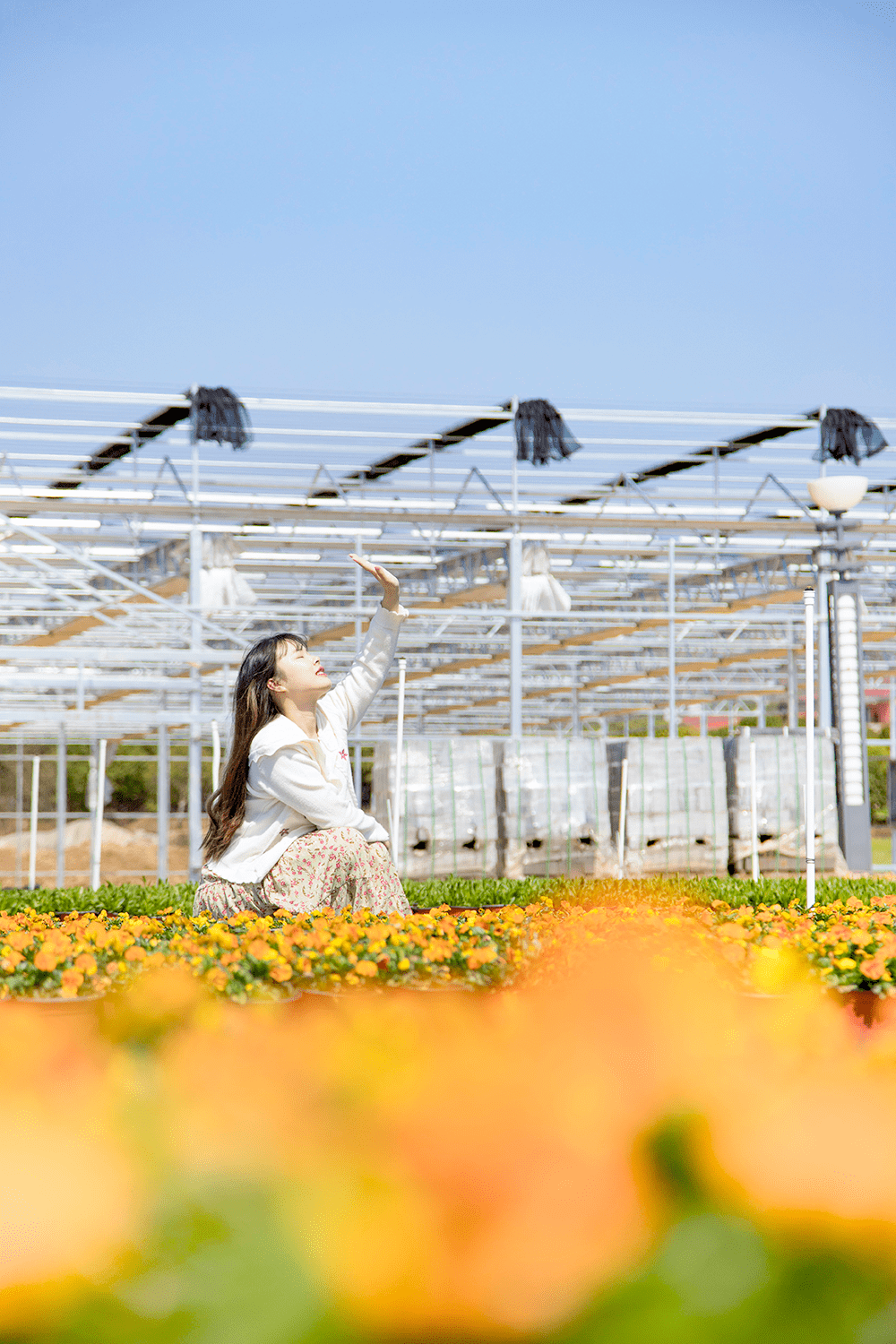 摆设！女神节组团畅玩星沙，奔赴春天的所有美妙~