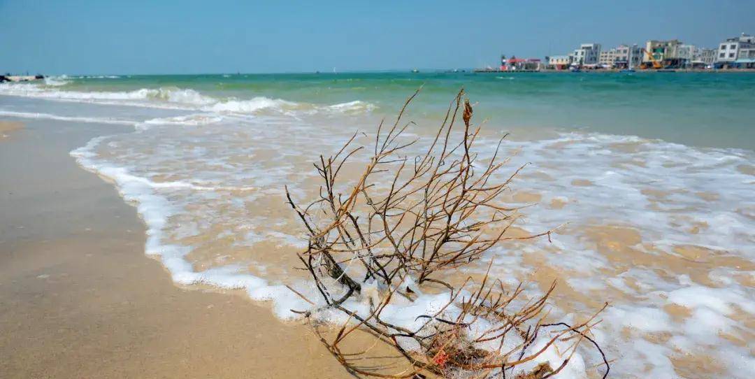 摊开湛江美食地图，发现广东吃货城市里必需有它的姓名！