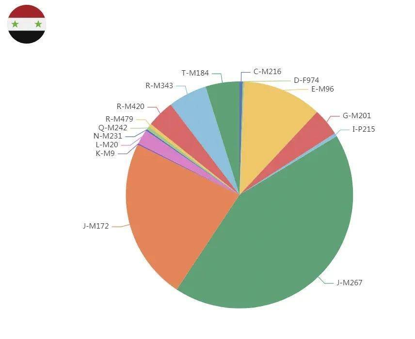 ���ǵ۹������������������