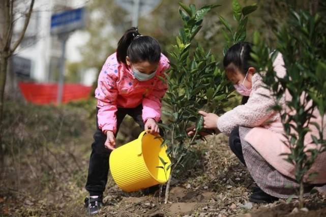 2023“及第花”大地艺术季将在西咸新区承平镇启幕