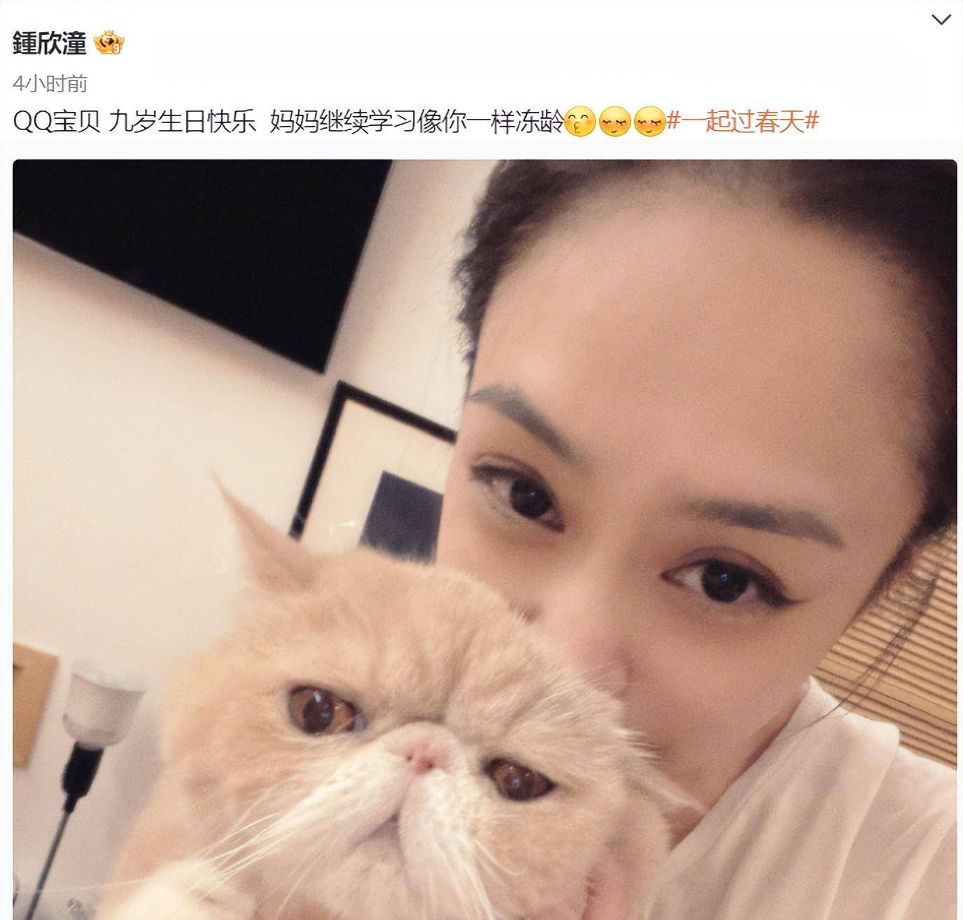 ����������Ƭ�ع����飬���֣�����ɫ��ֵ�ϳ��������� ...