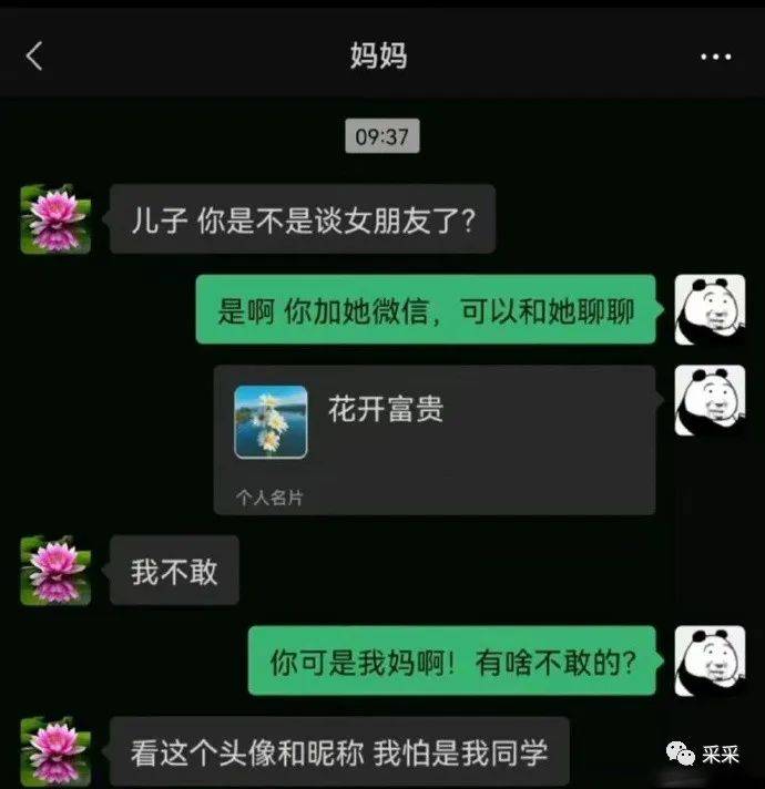 论晚辈对沙雕头像的嫌弃，有被笑到哈哈哈哈